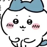 椰椰