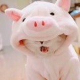 小小的可乐