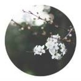 羽毛
