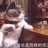 豆友219187975