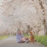 锦衣👵