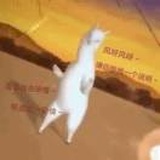 南方野人