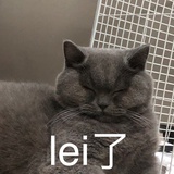 乌克兰小乳猪