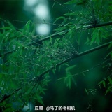 豆友219250550
