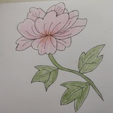 琼琼