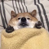 十字路口