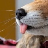 大衍～