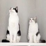 我不等昙花_