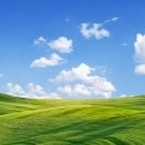 敏