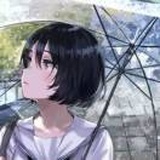 雨落倾城