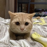 君💞
