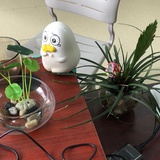 豆友219371773