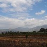简曦