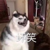 嗨呀老婆好聪明