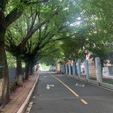 豆友219440600