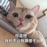 毛毛果