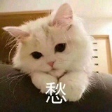 樱桃酒