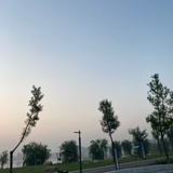 pniza