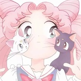 猫咪都是小天使