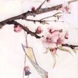 花书签