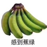 完颜舒舒