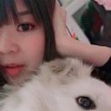 毛利小晕晕