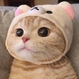 微凉