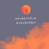 𓆡𓆝𓆟𓆜𓆞𓆝𓆟𓆜𓆞