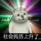 空条大辣皮