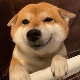 YOYO鹿鸣