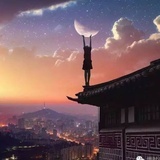 小鱼乖乖
