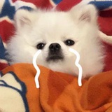 法兰西多士