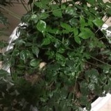 冬日午后的阳光1