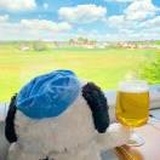 白斩季