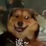 我咋快乐咋来