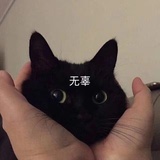 zzz