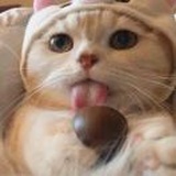 55花君