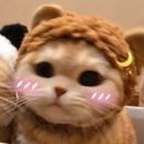 爱吃鱼饼@