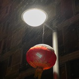 小兜兜