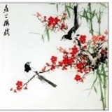 偶