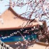 「尛倩同學 о' -