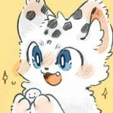 脉动回来