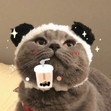 葡萄藤