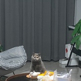 豆友219847307