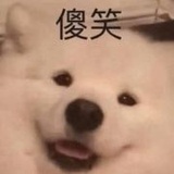 Mimiya雾