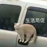 VGone