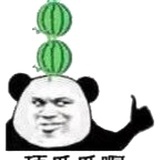 蚚