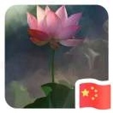 流年似水