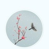 小雀仔