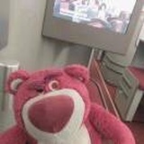 前所未见